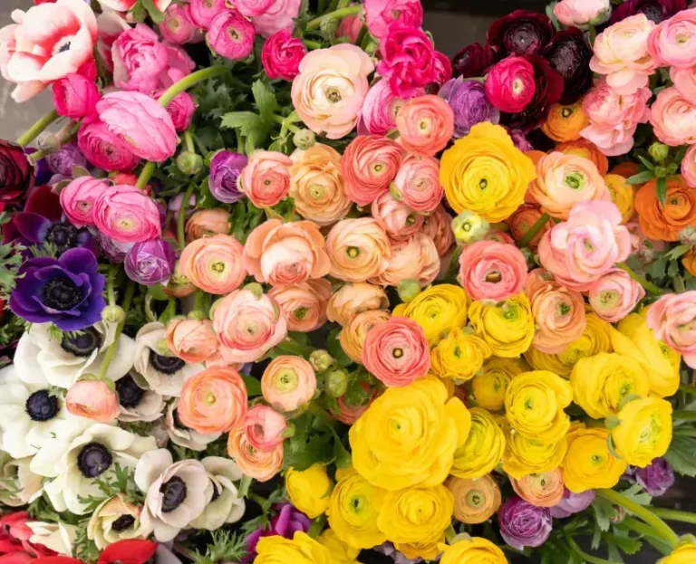Panduan Memilih Karangan Bunga Terbaik untuk Berbagai Acara: Tips & Trik