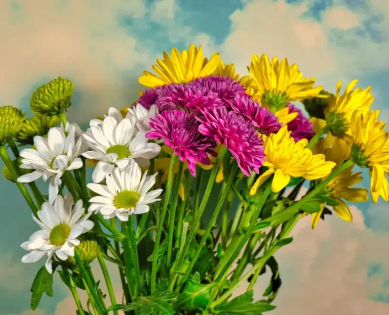 Rekomendasi Florist Karangan Bunga Terbaik di Indonesia