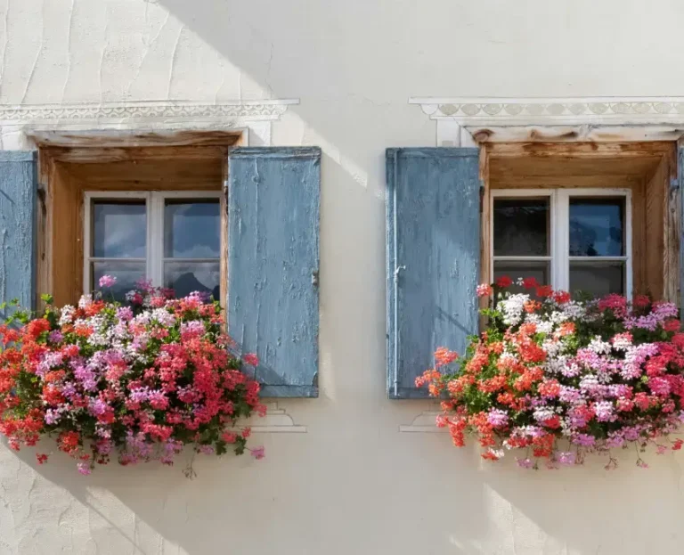 Tips Memesan Karangan Bunga Online yang Aman dan Terpercaya